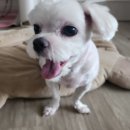 오늘도 맑개 이미지