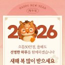 으뜸50안경 녹번점 이미지