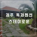 스테이 로운 | 제주 스테이로운 독채펜션 내돈내산후기 :: 풀빌라