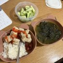 건우동물병원 | 2025.02➰03/차근차근 하나씩🍀