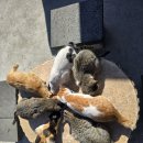 도깨비골 황토찜질 펜션 | 경주풀빌라펜션 나리길한옥펜션 with 찜질방