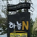 캠핑n펜션 | 태안 안면도 펜션 하늘N애견펜션 구름(독채) 이용 후기