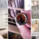 다두농장 이미지