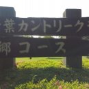 바이골프