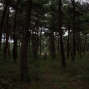 송전리경로당 이미지