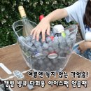 큐브 | 각얼음이 녹지 않아요?! 아이스박스 필수템, 빙큐 아이스큐브 후기
