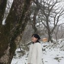 교통정보CCTV-한경대사거리 | 제주여행 1100고지 여행/ 1100고지 주차 / CCTV