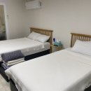 콩앤삐 펜션 | 삼척 가족 팬션 추천 콩앤삐 팬션 내돈내산 후기