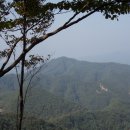 신천초교 이미지