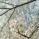 드림레이크펜션 이미지