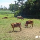 승인축산 이미지