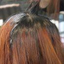 Hair(헤어) 오늘