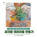 제주공예연구소 | 한 번 하고 끝? 겨울학기 ‘재의뢰’ 받은 제주테라리움 환경책 공예 수업 후기