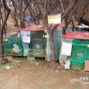 서리풀길 35 이미지