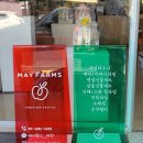 메이팜스대전