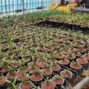 최상식농장 이미지