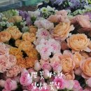 참조은생활마트 이미지