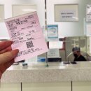 소청여행사
