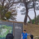 사뿐사뿐 | &#39;사뿐사뿐 성산산성 트레킹&#39; 후기 (초등자녀가족 참여 강추!)