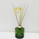 노벨라 별하나 이미지