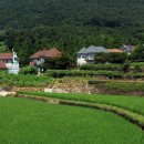 평도마을회관 이미지