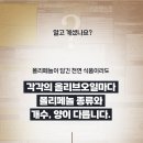 혈압 낮추는 방법, 콜레스테롤 관리의 중요성