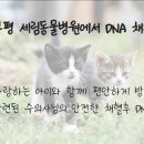 세림동물병원 이미지