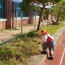 곡성-022 이미지