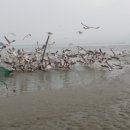 금복 펜션 이미지