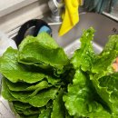 서리내농장 이미지