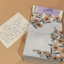 리본헤어 | 강아지머리핀 추천 강아지악세사리 곱슬머리앤 리본헤어핀 후기