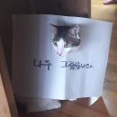 냥아치들 - 부평구 길주남로 112 | 냥아치들