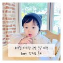 수아르펜션 | 3일 여행 feat. 강원도 홍천 (홍천 키즈펜션 수아르펜션 후기 / 비발디파크 회전목마 / 홍천생명건강...