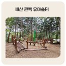 부산 숲놀이터 배산 편백 유아숲터 주말 후기