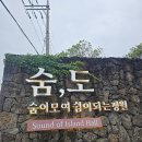 제주 숨도정원 후기 (수국,인생사진,힐링 모두담은 여행지)