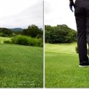 청우그린 이미지