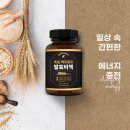 독일 맥주효모 발효비책 - 풍성한 하루를 위해