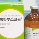 늘봄동물약국 이미지