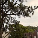 부안 더힐링휴 펜션 이미지