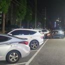 탐나는돼지