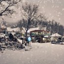 홍천 강가애 이미지