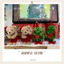 남해-171 | 대구 동성로 교보문고 대구점 셀프계산 크리스마스소품