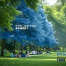 동일구조안전