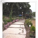 콩요리전문 이미지