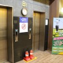 연희스크린골프 | 연희동 골프연습장 나혼자 연습하기 좋은 연희스크린골프