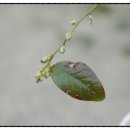 산새랑 게스트하우스 이미지