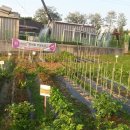 왕버들2농장 이미지