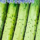 은성농약사 이미지