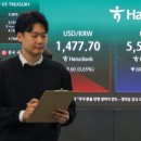 1479 노컷뉴스