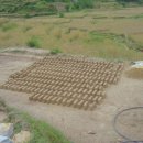 헤브론농장 이미지